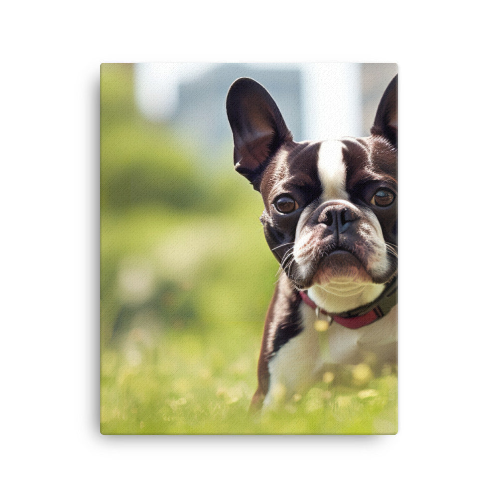 Spunky Boston Terrier in the Park Canvas - PosterfyAI.com