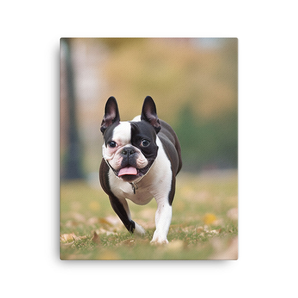 Spunky Boston Terrier in the Park Canvas - PosterfyAI.com