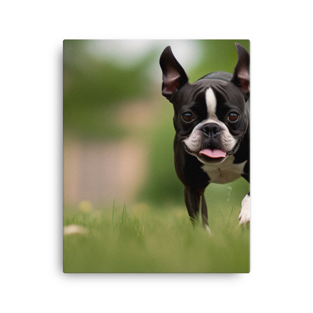 Spunky Boston Terrier in the Park Canvas - PosterfyAI.com
