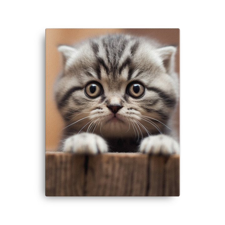 Scottish Fold Kitten Canvas - PosterfyAI.com