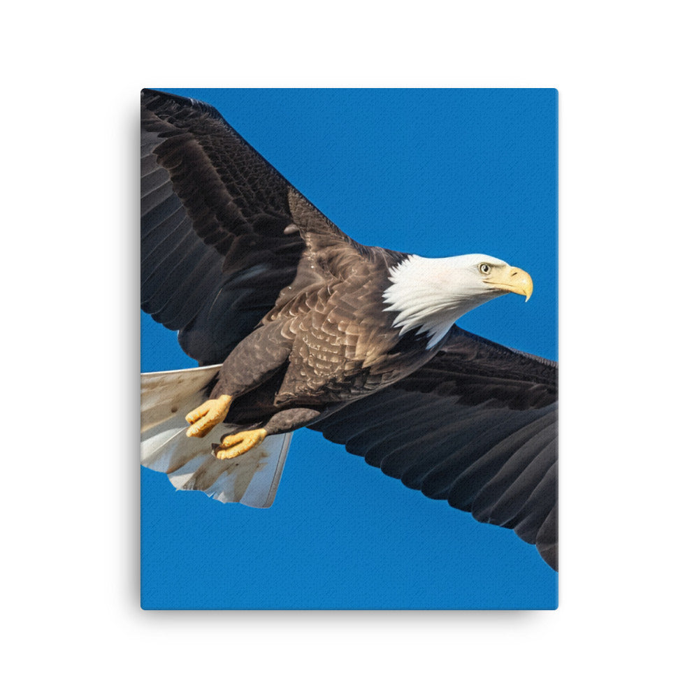 Beautiful Bald Eagle in Flight Against the Blue Sky Canvas - PosterfyAI.com