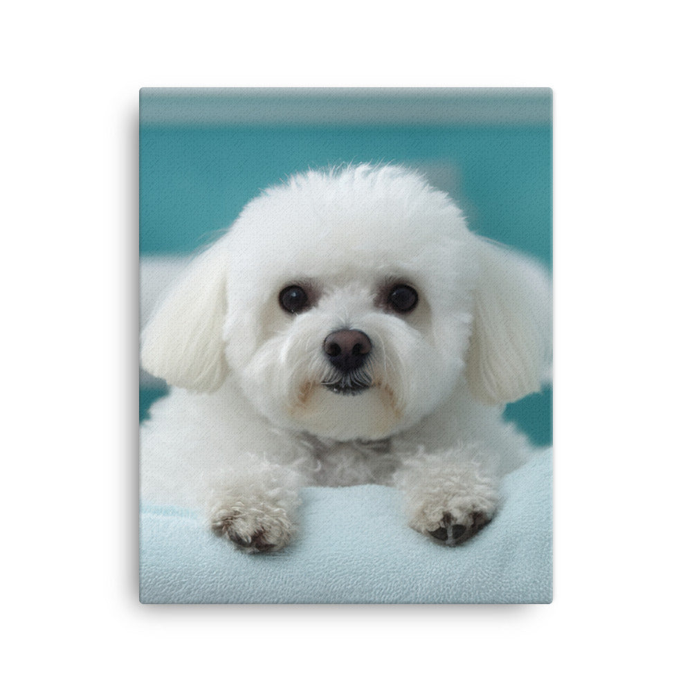 Bichon Frise in a Spa Canvas - PosterfyAI.com