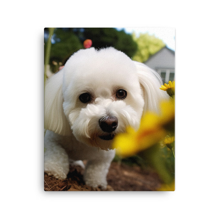 Bichon Frise in a Garden Canvas - PosterfyAI.com