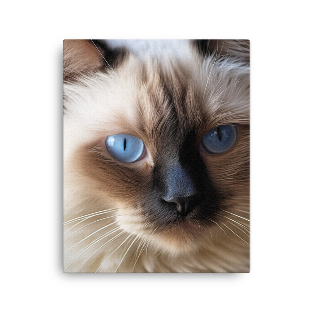 Birman Cat Canvas - PosterfyAI.com