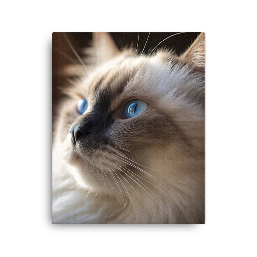 Birman Cat Canvas - PosterfyAI.com