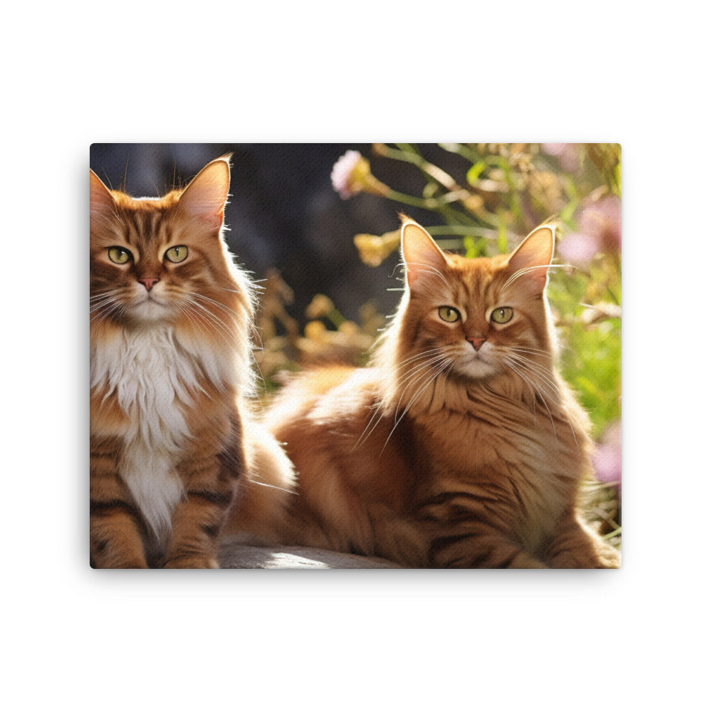 Somali Canvas - PosterfyAI.com