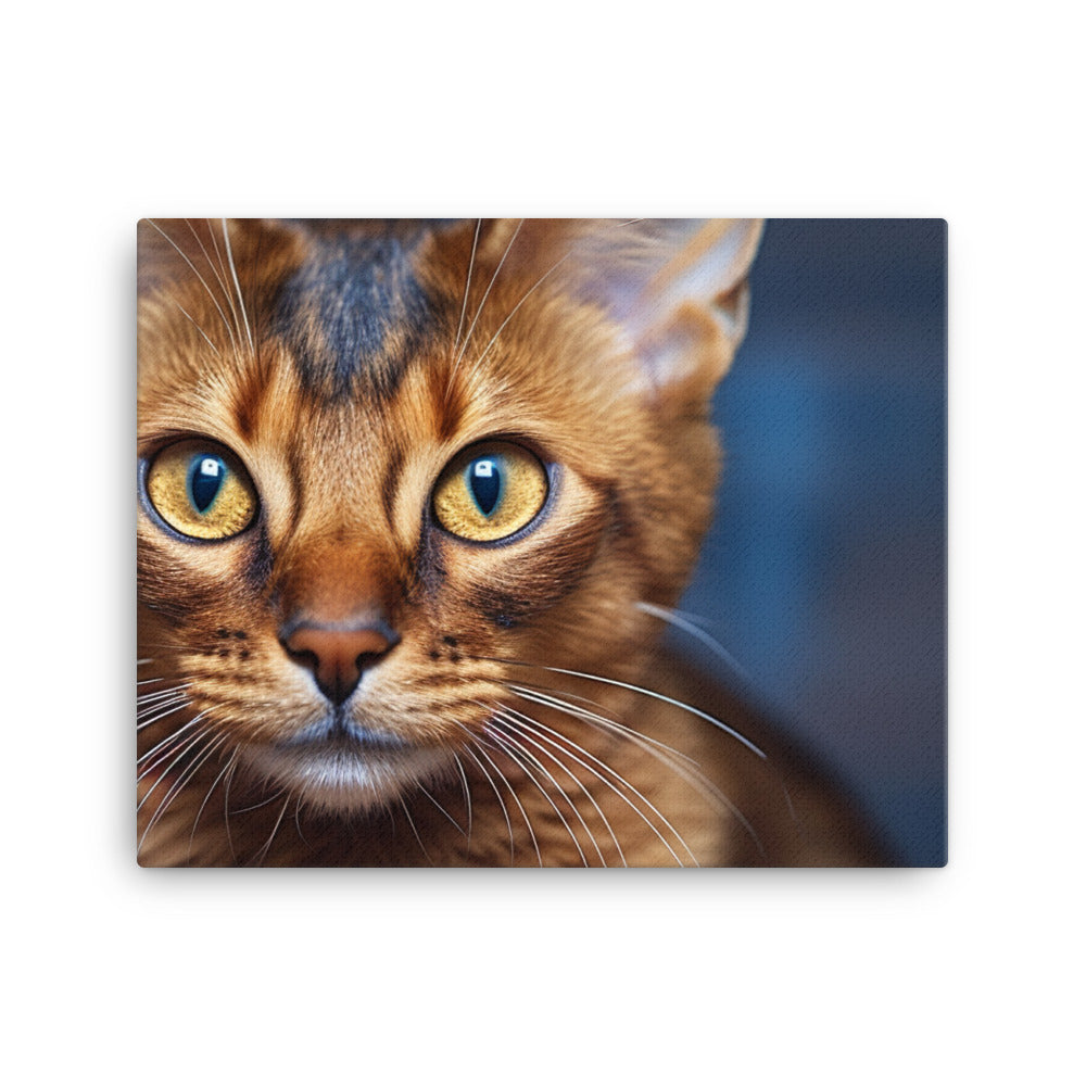 Somali Canvas - PosterfyAI.com