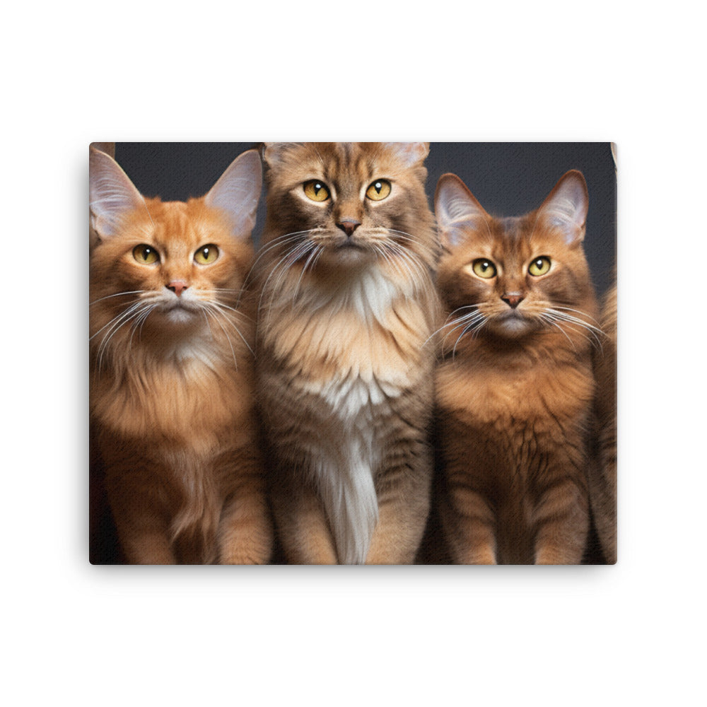 Somali Canvas - PosterfyAI.com