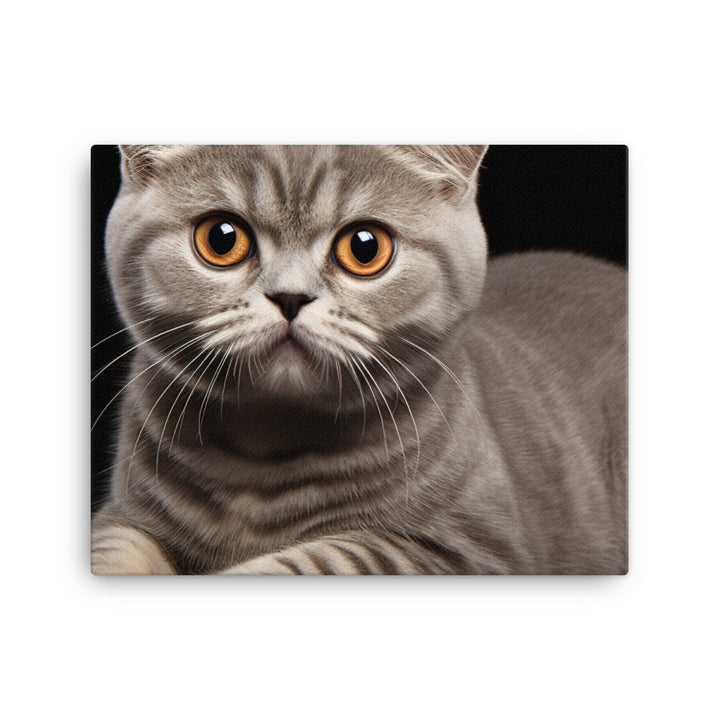 Scottish Fold Canvas - PosterfyAI.com