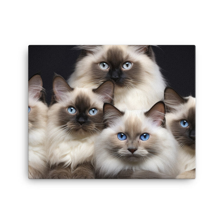 Birman Canvas - PosterfyAI.com