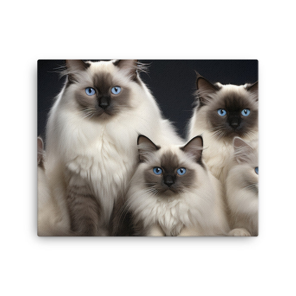 Birman Canvas - PosterfyAI.com