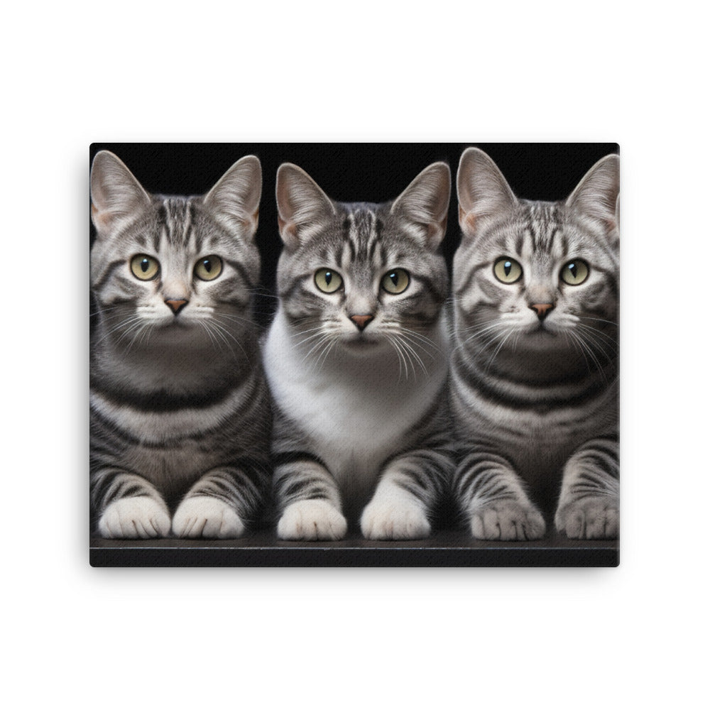 American Shorthair Canvas - PosterfyAI.com
