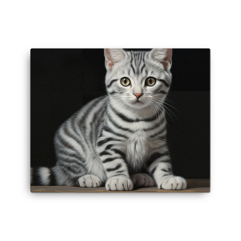 American Shorthair Canvas - PosterfyAI.com