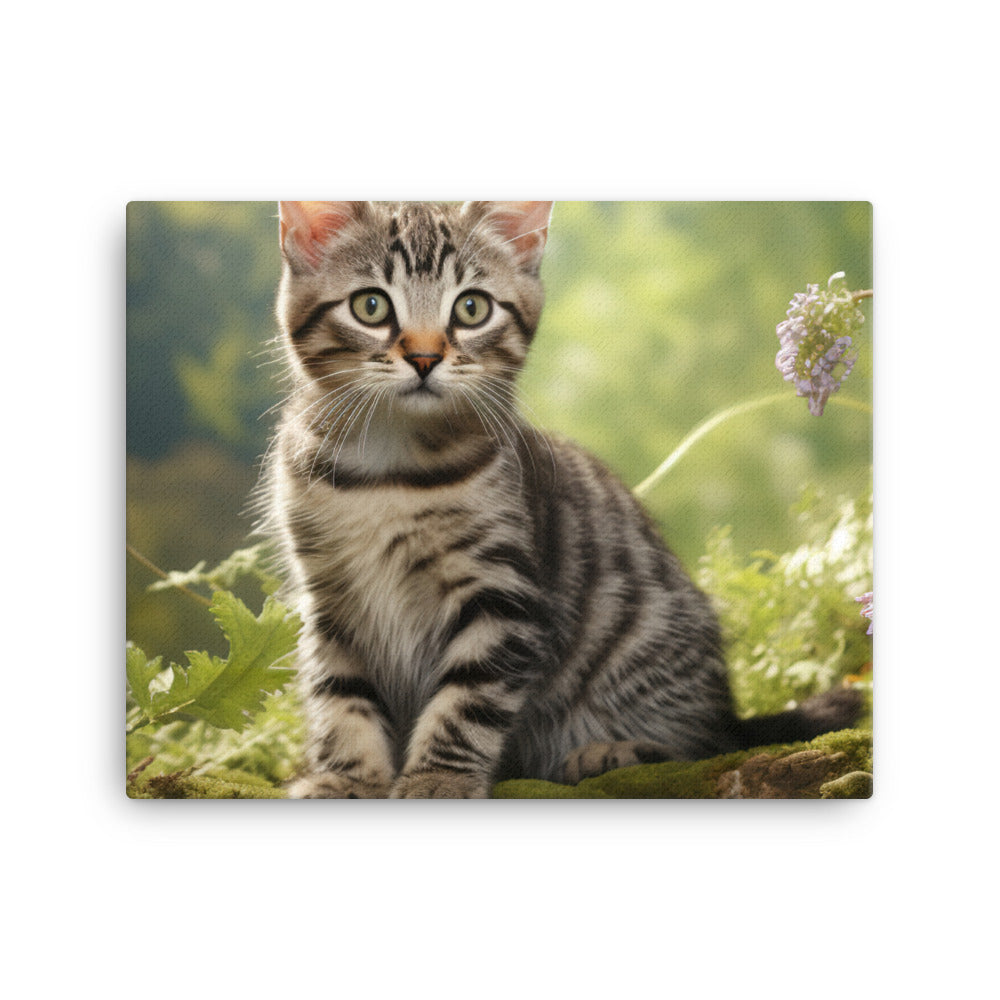 American Shorthair Canvas - PosterfyAI.com