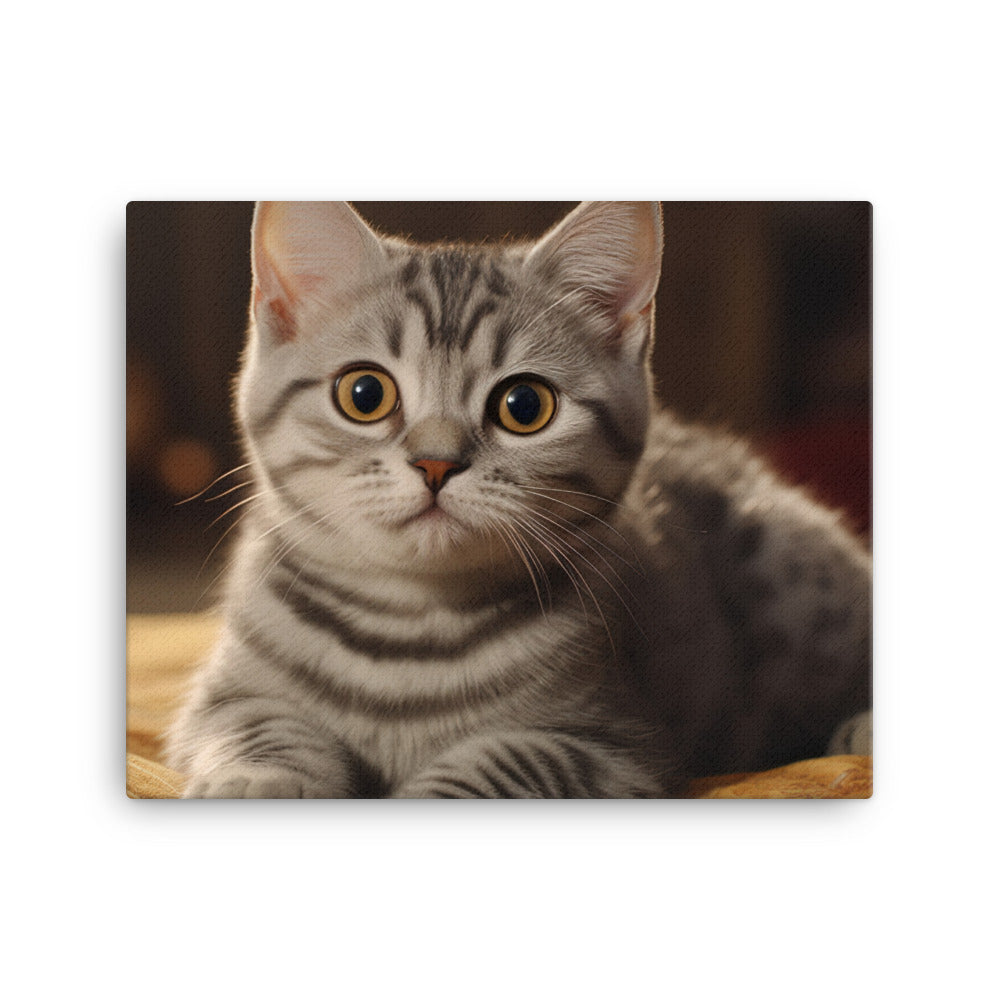 American Shorthair Canvas - PosterfyAI.com
