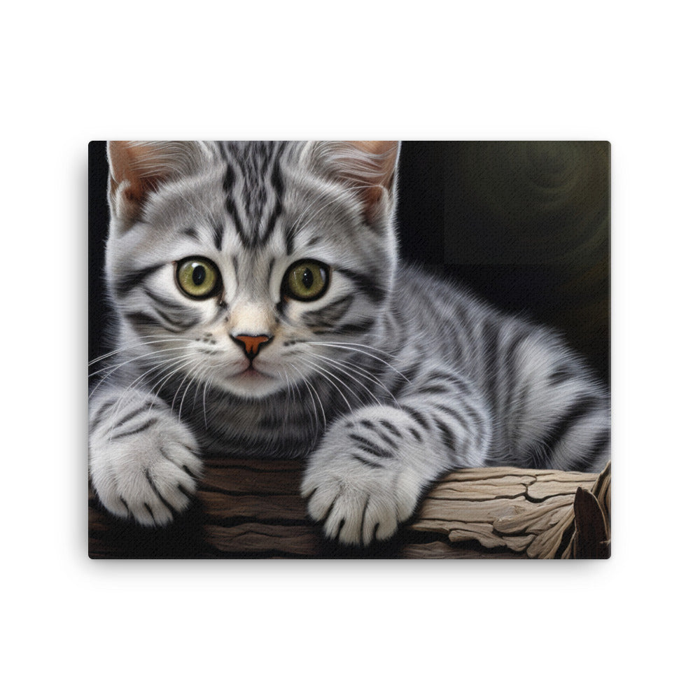 American Shorthair Canvas - PosterfyAI.com