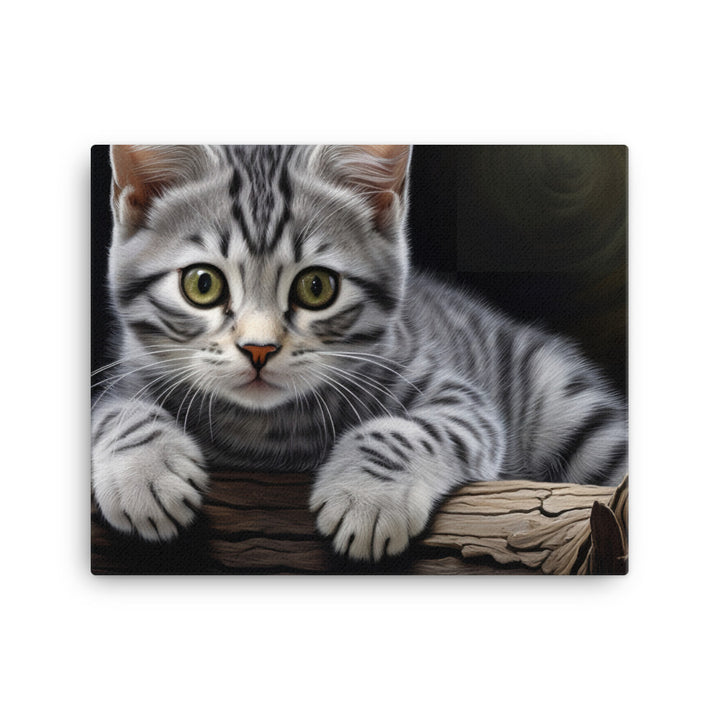 American Shorthair Canvas - PosterfyAI.com