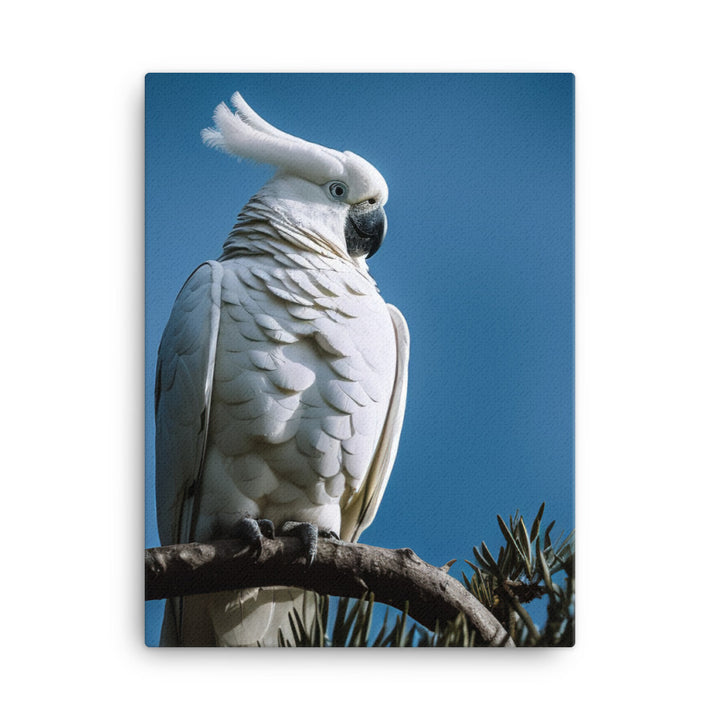Snowy White Cockatoo Canvas - PosterfyAI.com
