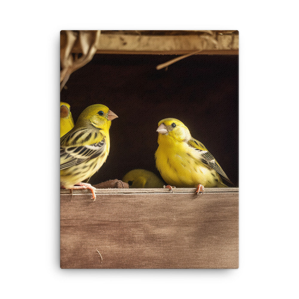 Singing canaries in a birdhouse Canvas - PosterfyAI.com