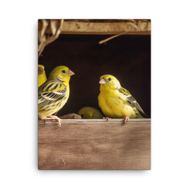 Singing canaries in a birdhouse Canvas - PosterfyAI.com
