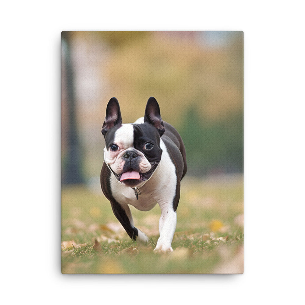 Spunky Boston Terrier in the Park Canvas - PosterfyAI.com