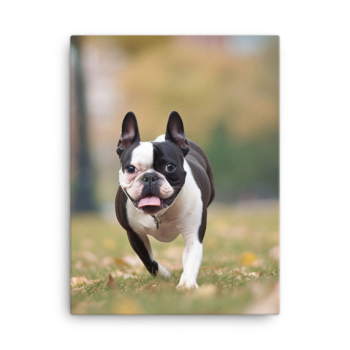 Spunky Boston Terrier in the Park Canvas - PosterfyAI.com