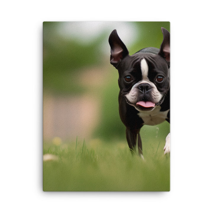 Spunky Boston Terrier in the Park Canvas - PosterfyAI.com