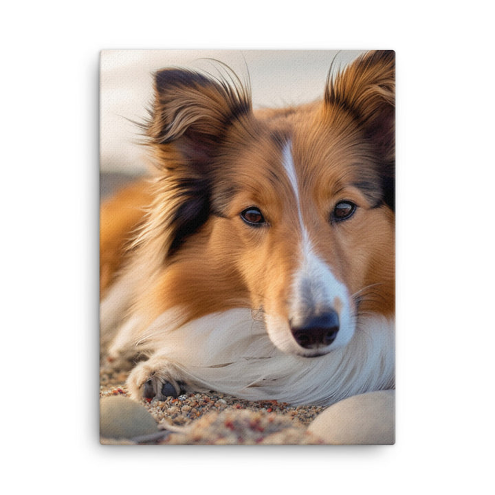 Shetland Sheepdog Relaxing on the Beach Canvas - PosterfyAI.com
