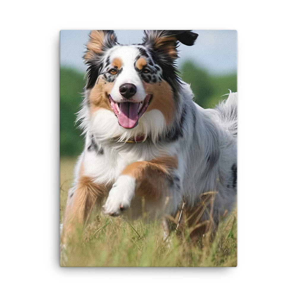 Australian Shepherd Canvas - PosterfyAI.com