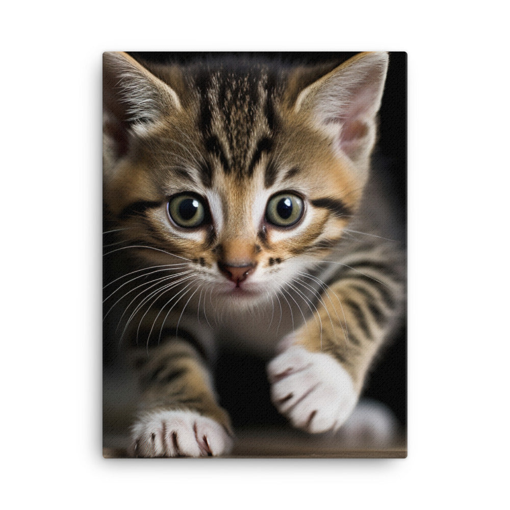 American Shorthair Kitten Canvas - PosterfyAI.com
