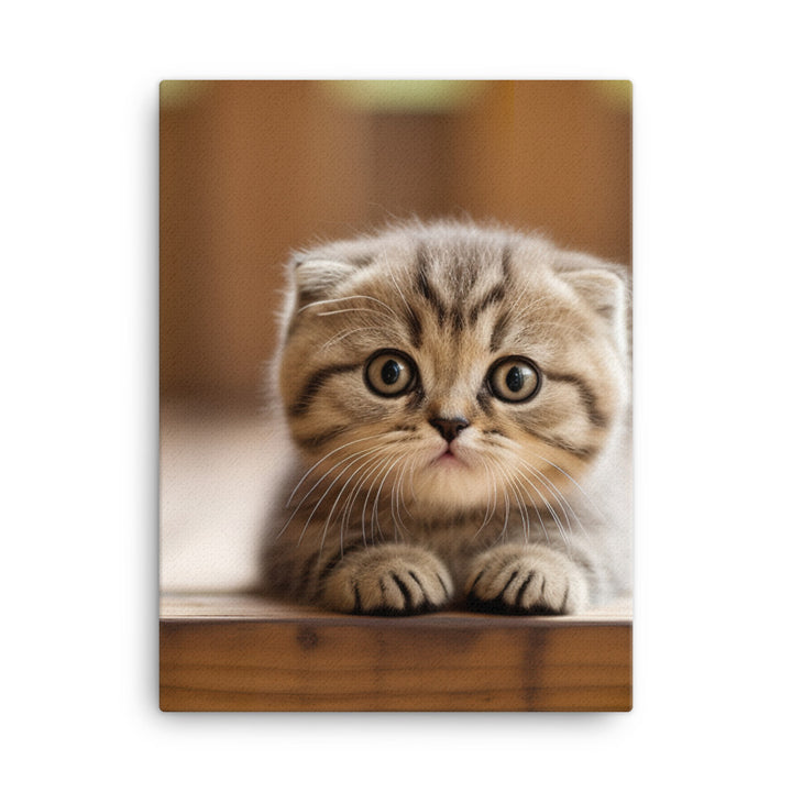 Scottish Fold Kitten Canvas - PosterfyAI.com