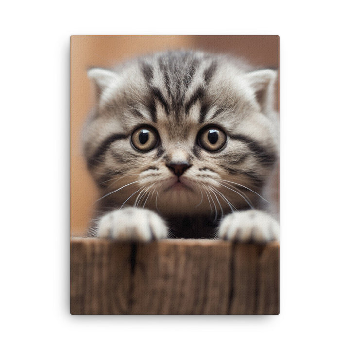 Scottish Fold Kitten Canvas - PosterfyAI.com