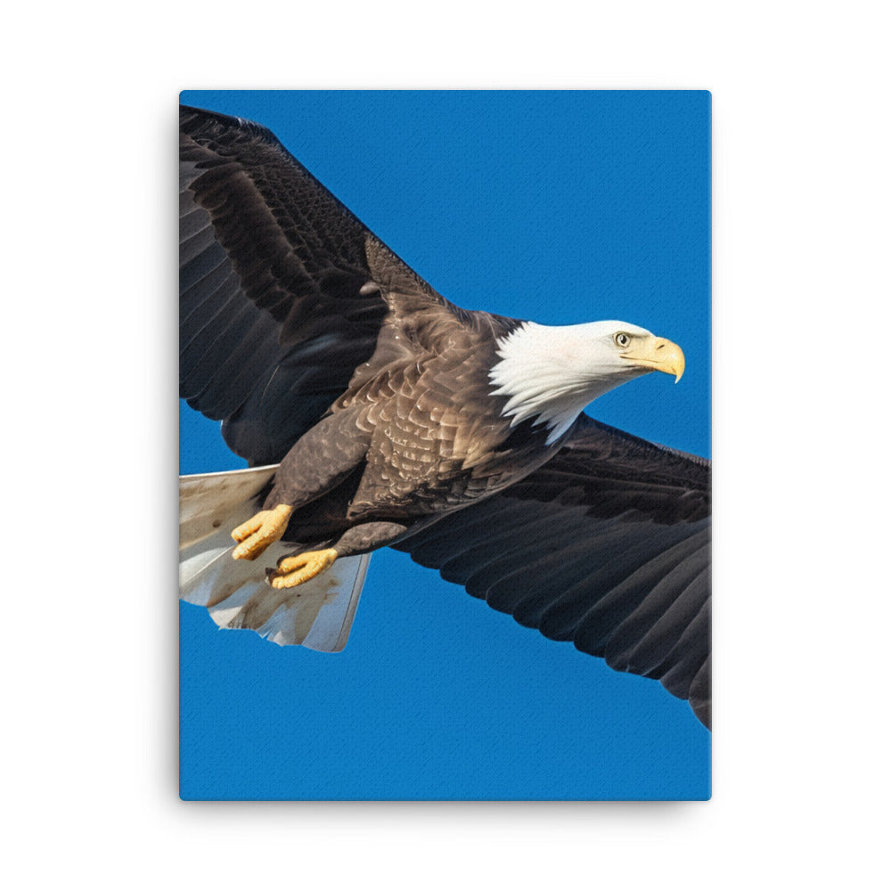 Beautiful Bald Eagle in Flight Against the Blue Sky Canvas - PosterfyAI.com