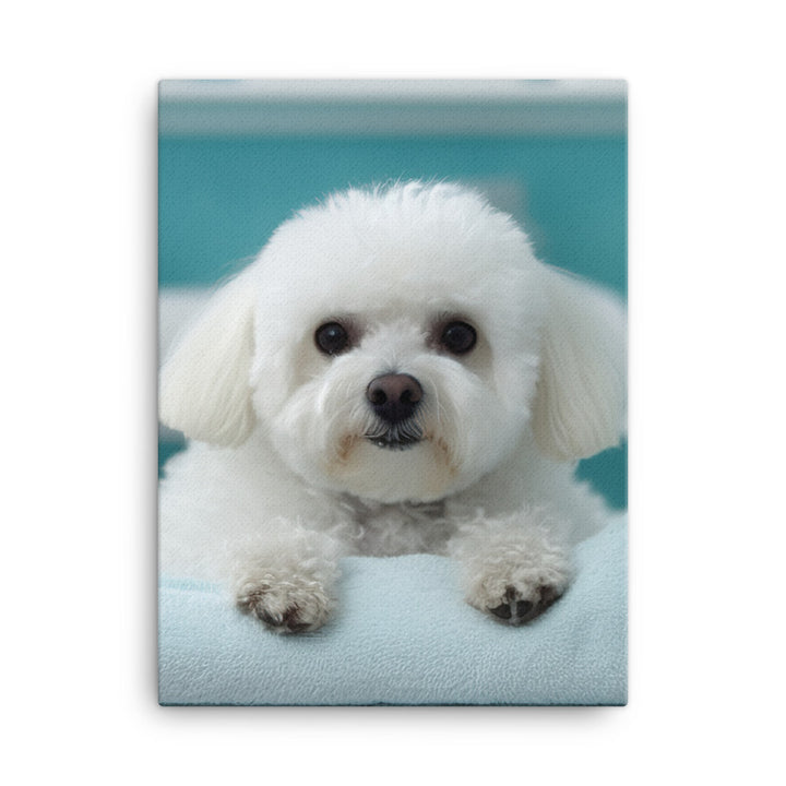 Bichon Frise in a Spa Canvas - PosterfyAI.com