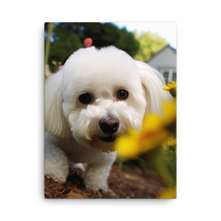 Bichon Frise in a Garden Canvas - PosterfyAI.com