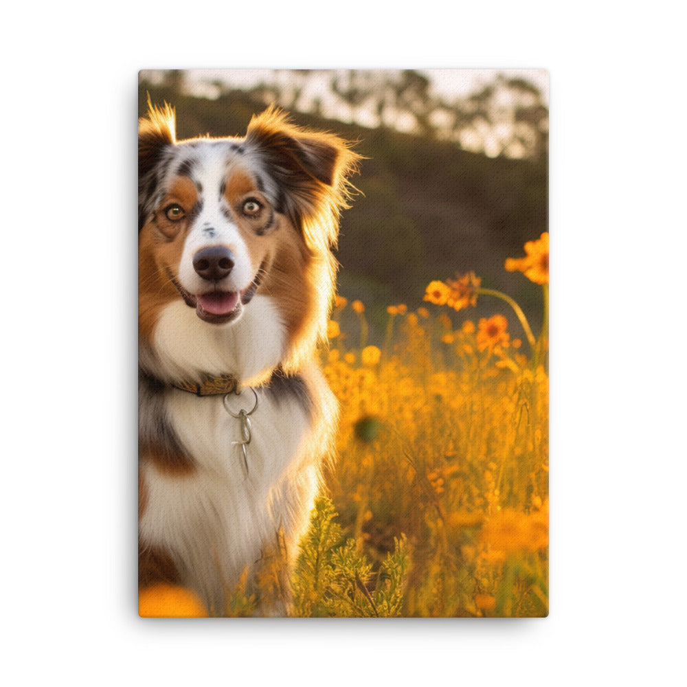 Australian Shepherd sitting Canvas - PosterfyAI.com