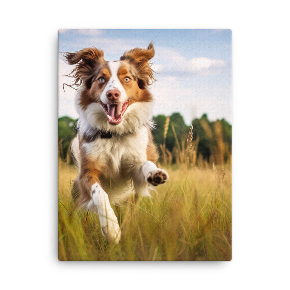 Australian Shepherd in action Canvas - PosterfyAI.com