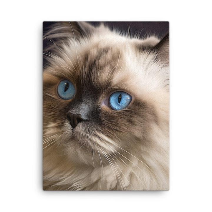 Beauty of Himalayan Cat Canvas - PosterfyAI.com
