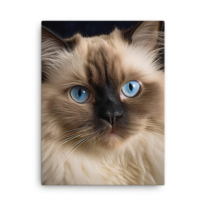 Beauty of Himalayan Cat Canvas - PosterfyAI.com
