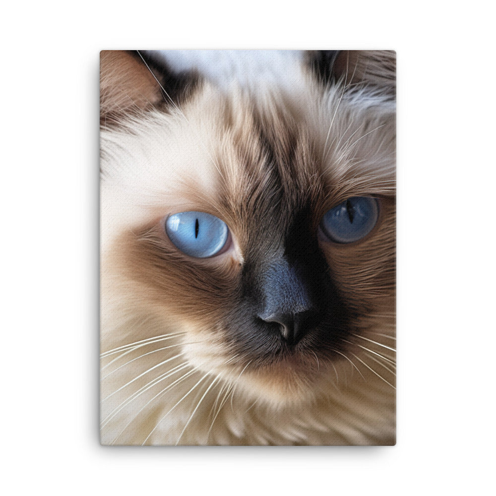 Birman Cat Canvas - PosterfyAI.com