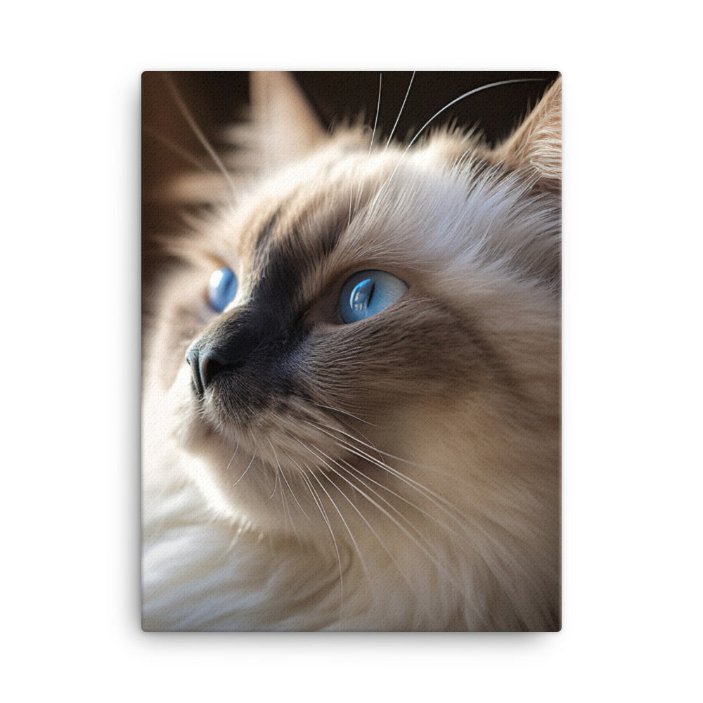 Birman Cat Canvas - PosterfyAI.com