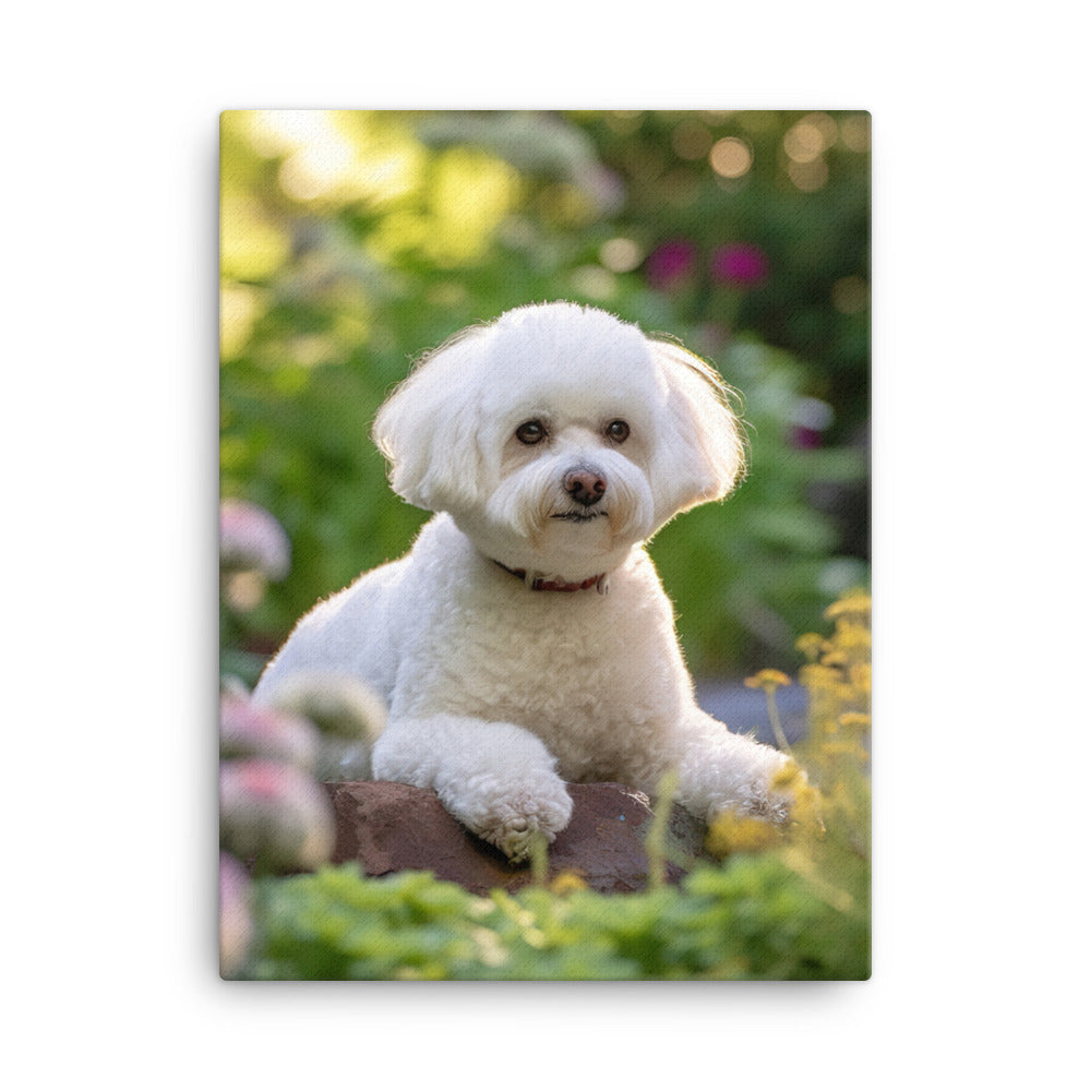 Bichon Frise Canvas - PosterfyAI.com