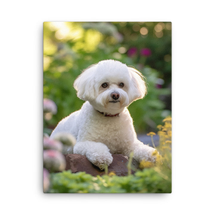 Bichon Frise Canvas - PosterfyAI.com
