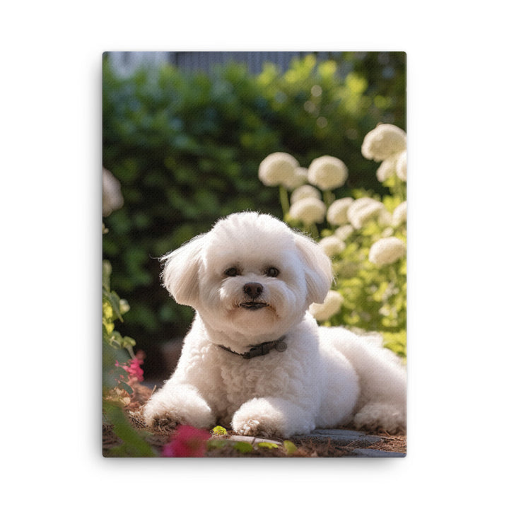 Bichon Frise Canvas - PosterfyAI.com