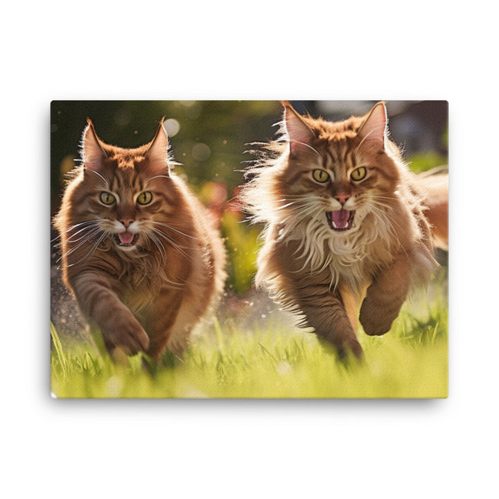 Somali Canvas - PosterfyAI.com