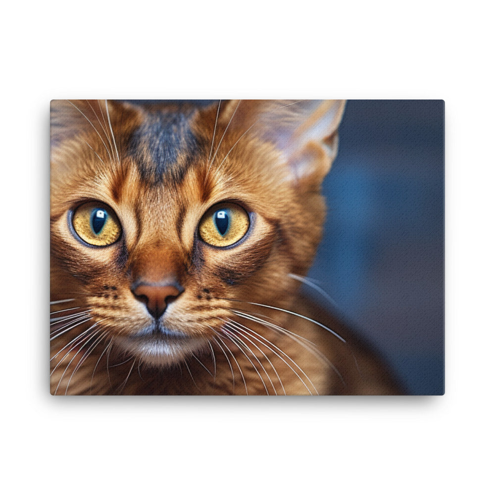 Somali Canvas - PosterfyAI.com