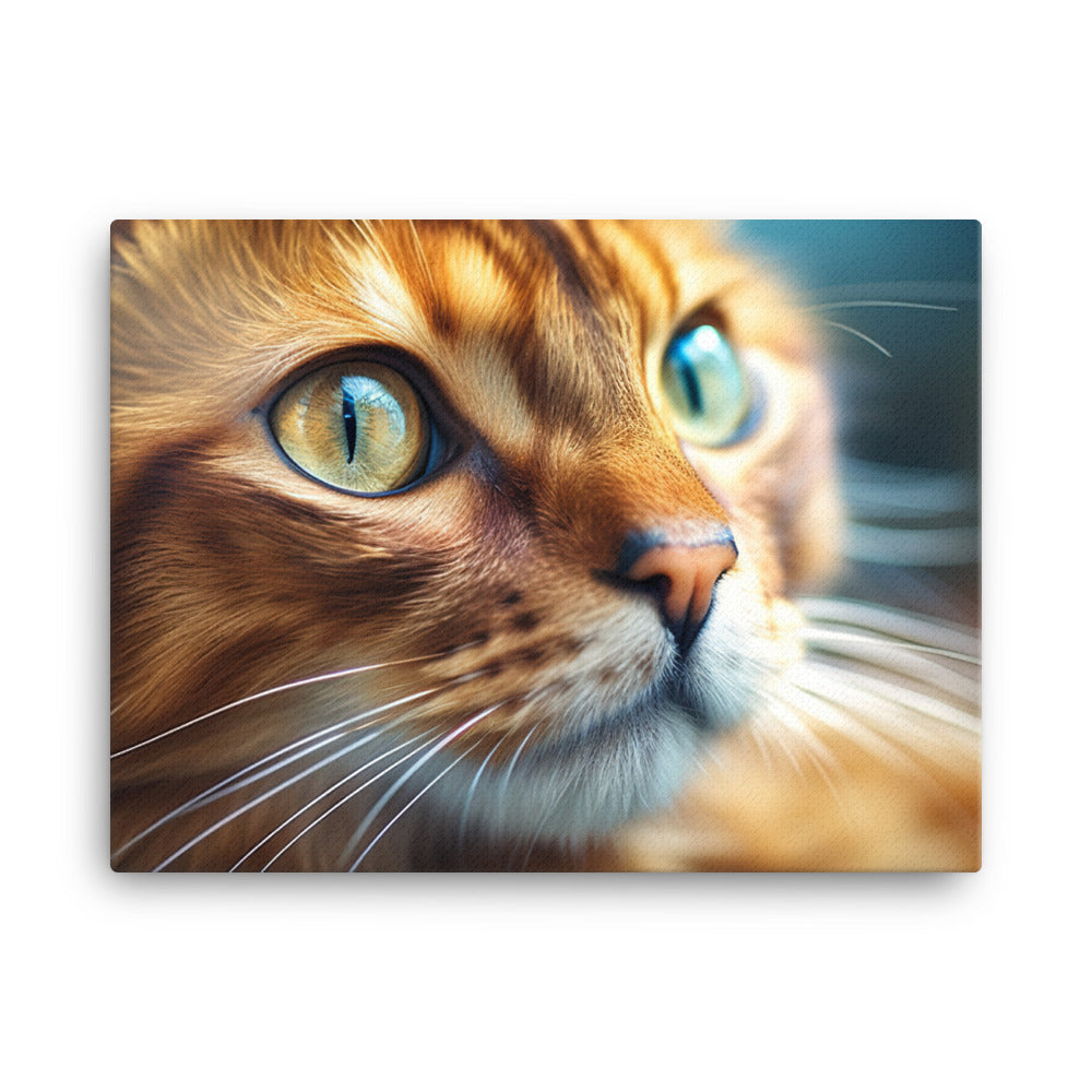 Somali Canvas - PosterfyAI.com