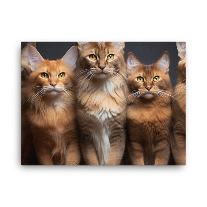 Somali Canvas - PosterfyAI.com