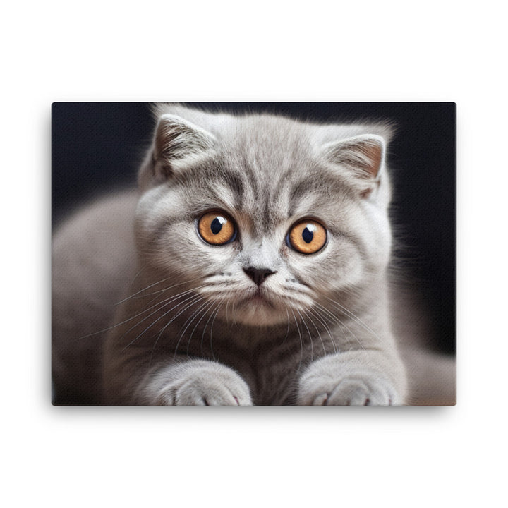 Scottish Fold Canvas - PosterfyAI.com