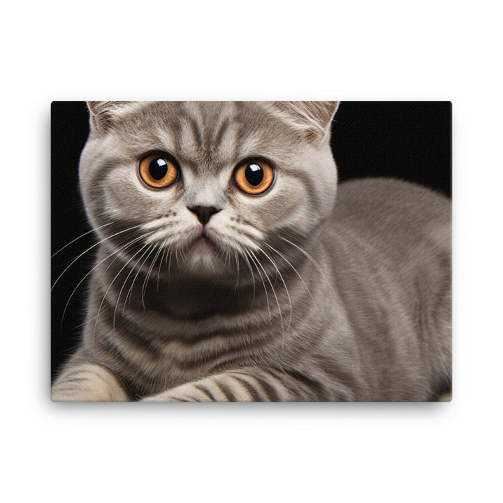 Scottish Fold Canvas - PosterfyAI.com